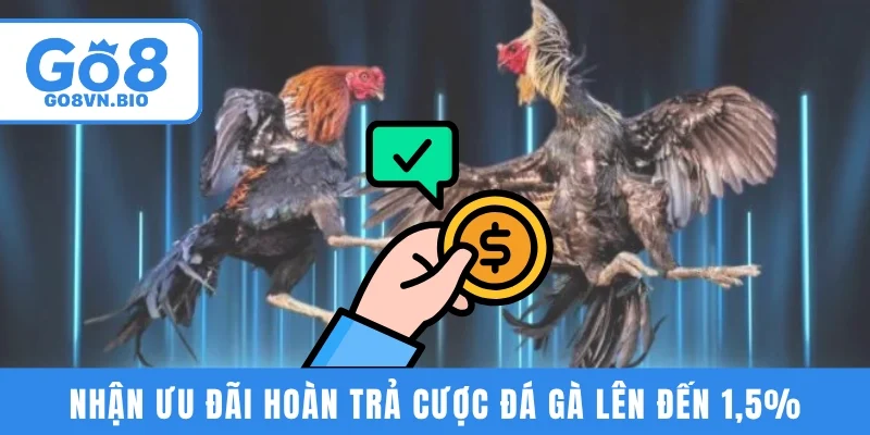 Nhận ưu đãi hoàn trả cược đá gà lên đến 1,5%