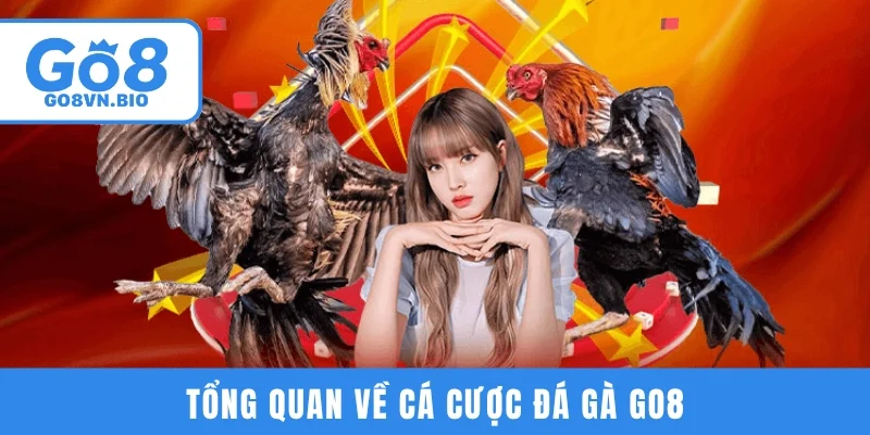 Tổng quan về cá cược đá gà GO8