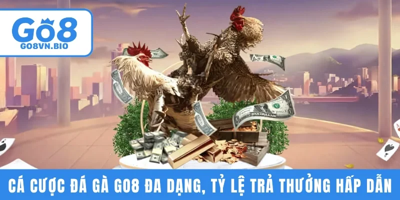 Cá cược đá gà GO8 đa dạng, tỷ lệ trả thưởng hấp dẫn