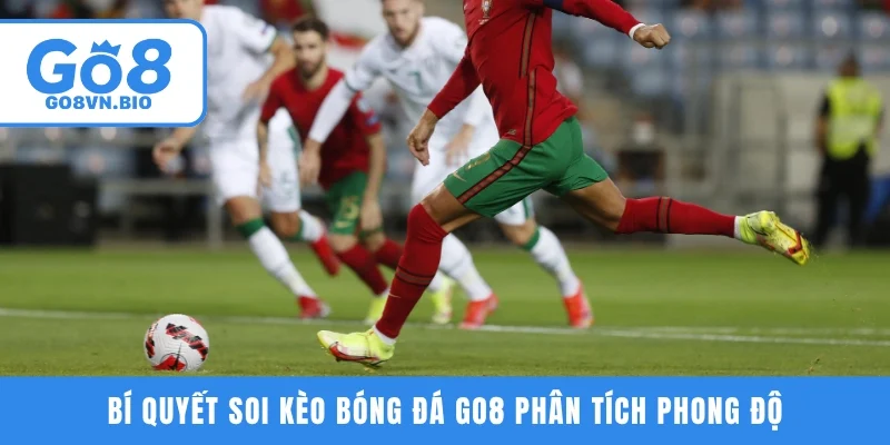 Bí quyết soi kèo bóng đá GO8 phân tích phong độ
