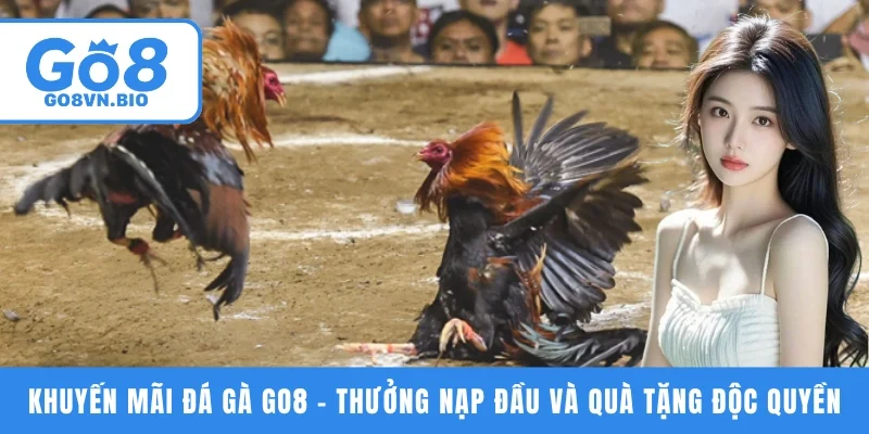 Khuyến mãi đá gà GO8